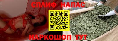 твердый Новозыбков